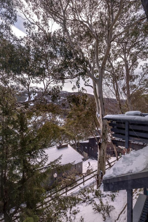 Pure Chalet Thredbo Exterior photo